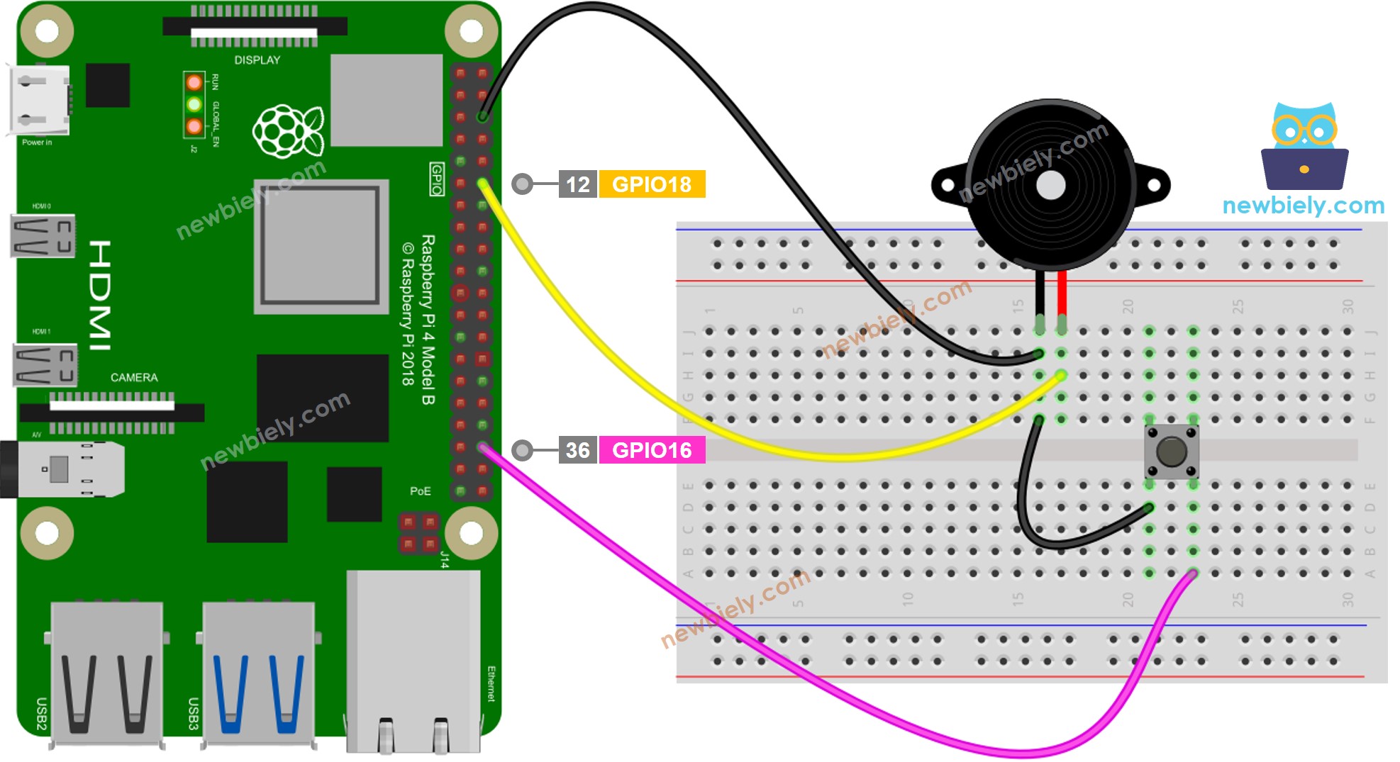 Raspberry Pi Knop Piezo Buzzer bedradingsschema