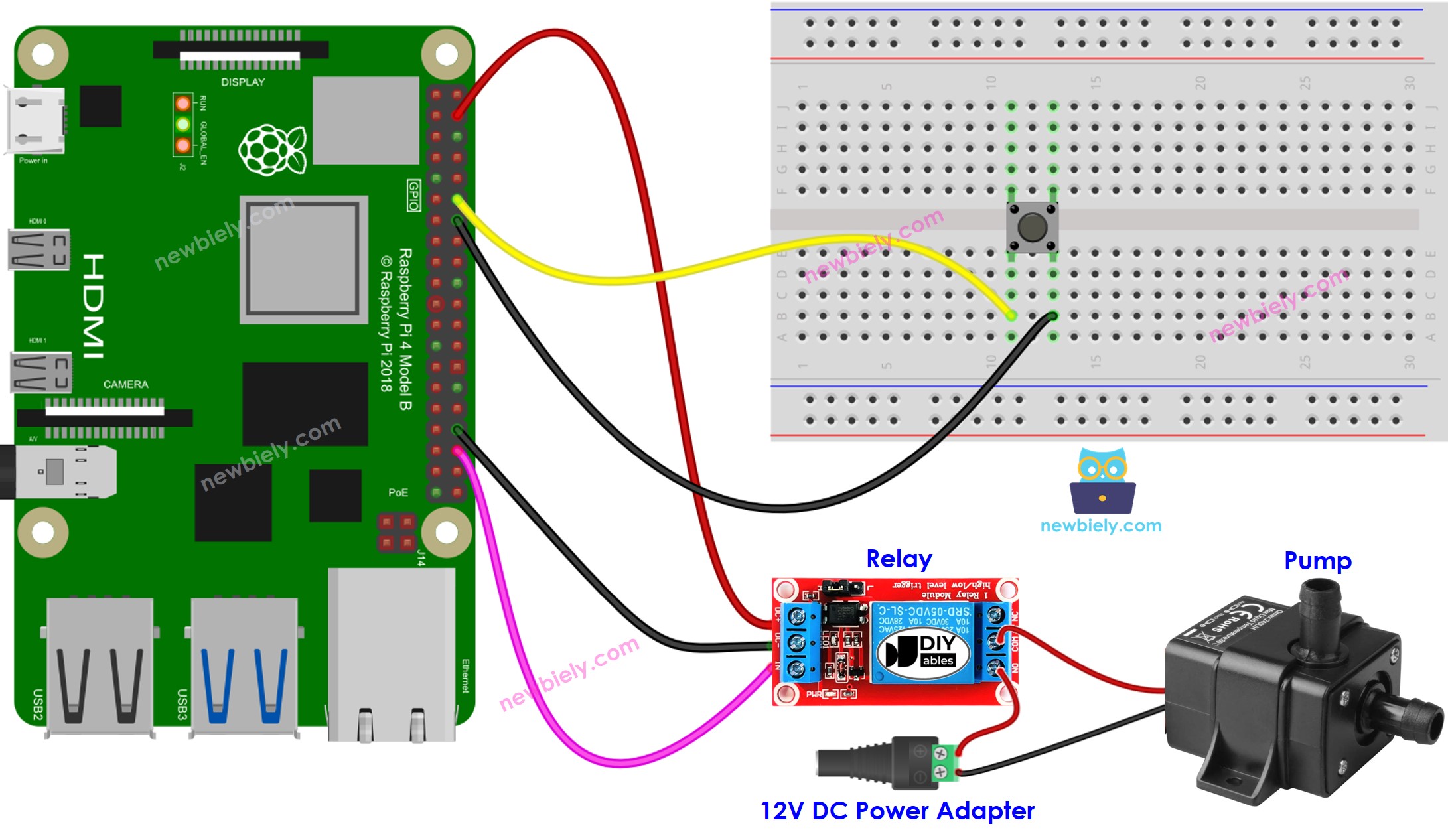 Raspberry Pi Knop bestuurt Pomp aansluitschema