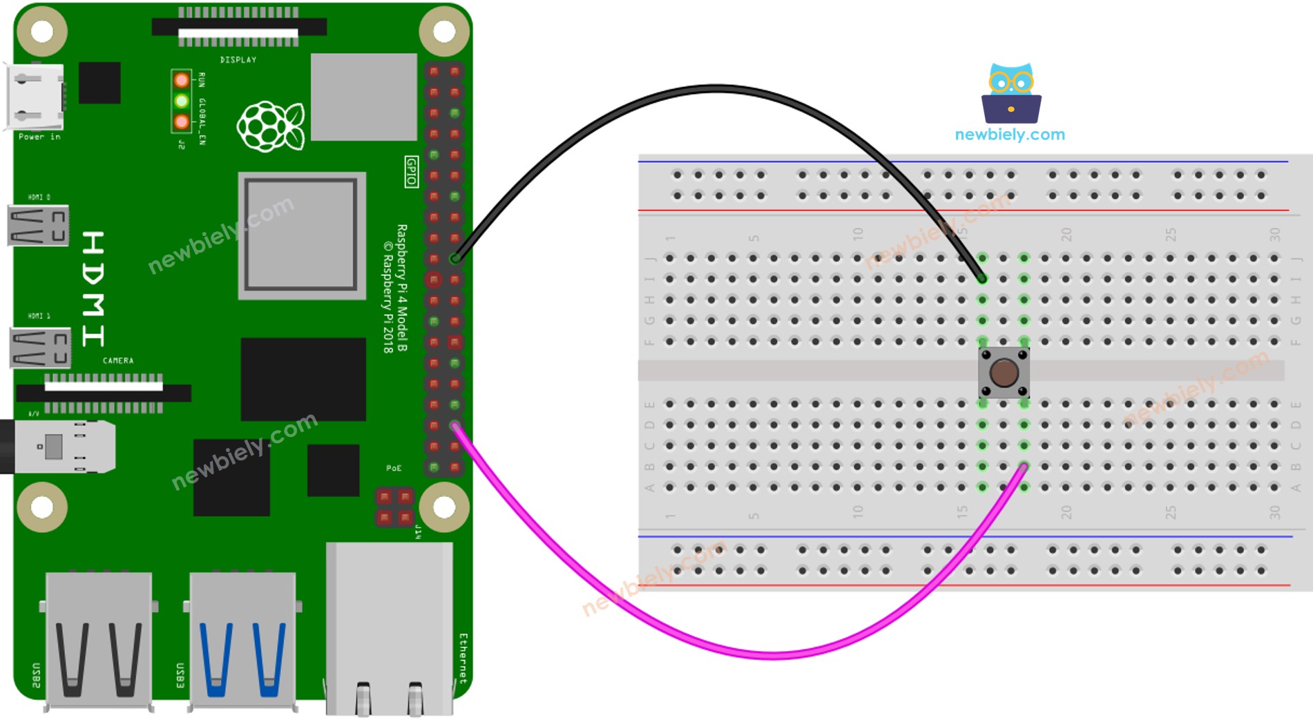 Raspberry Pi Knop aansluitschema