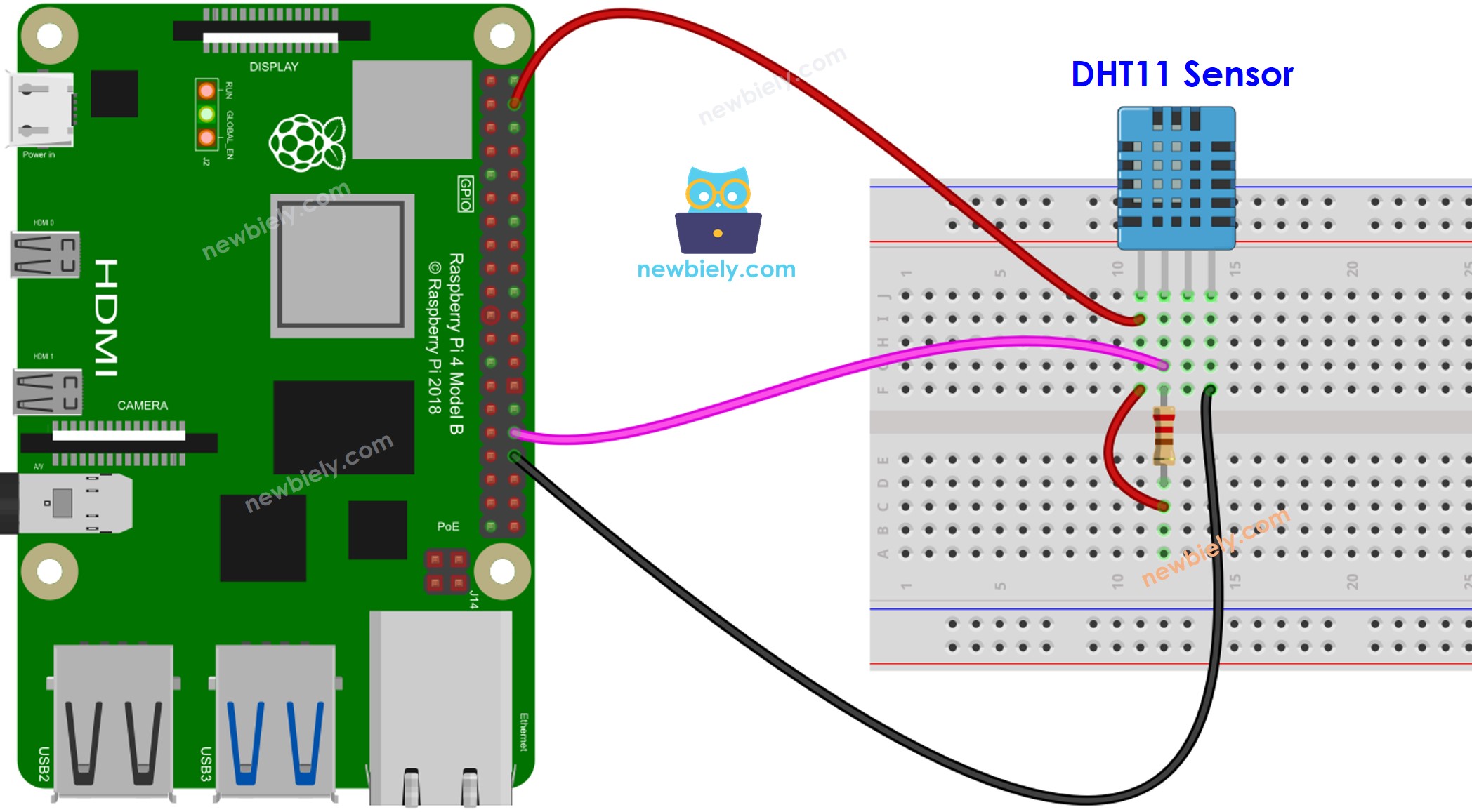 Raspberry Pi DHT11 Temperature and humidity Sensor wiring diagram