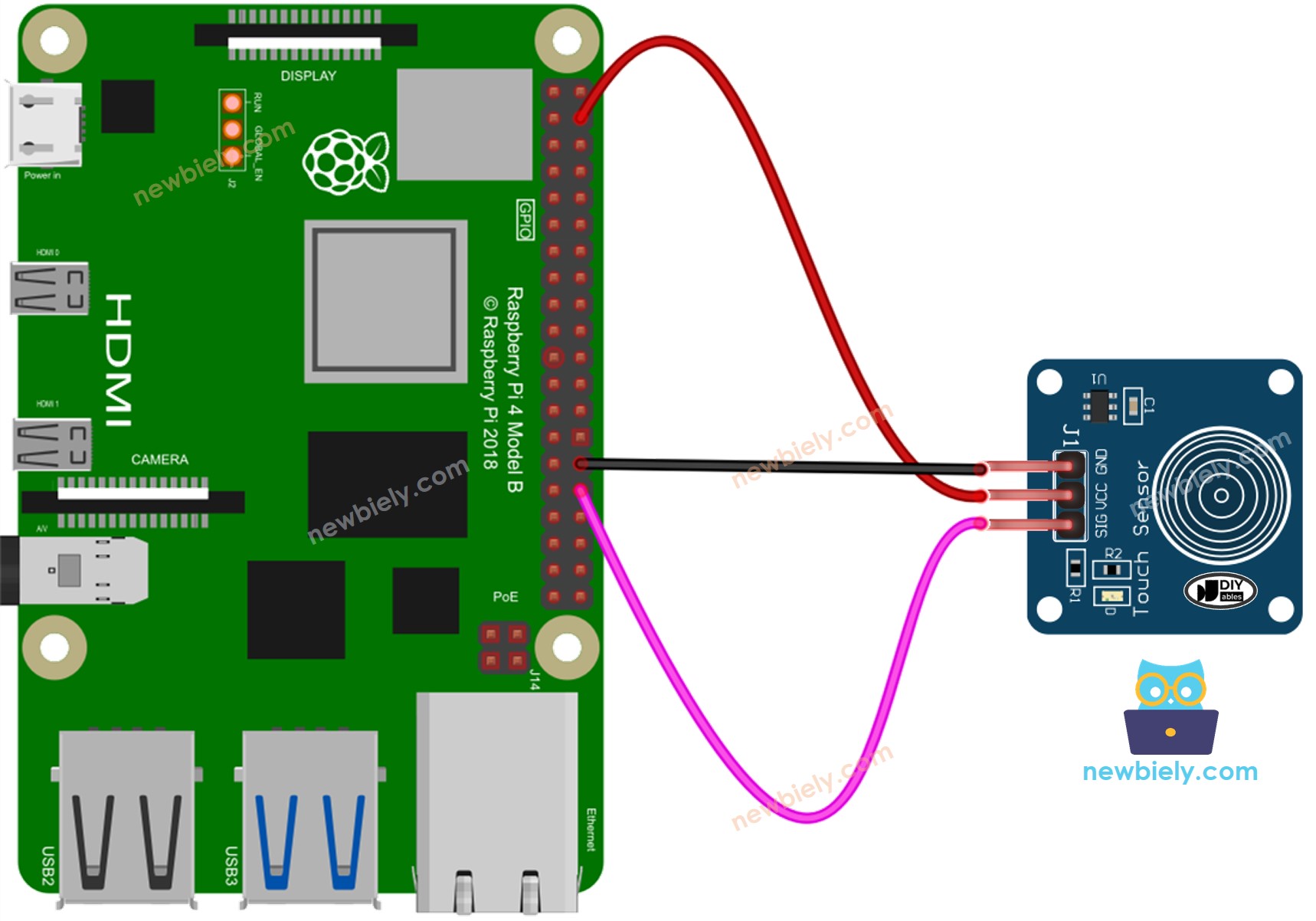 Raspberry Pi Touch Sensor bedrading schema